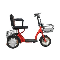 Электротрицикл Elbike Адъютант 300